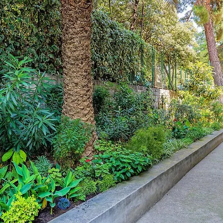 Apartment New! Luxury Dona